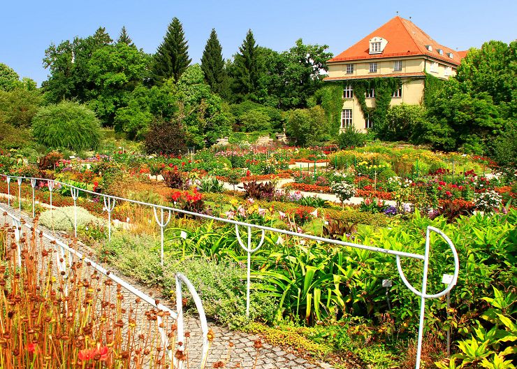 Botanischer Garten in München