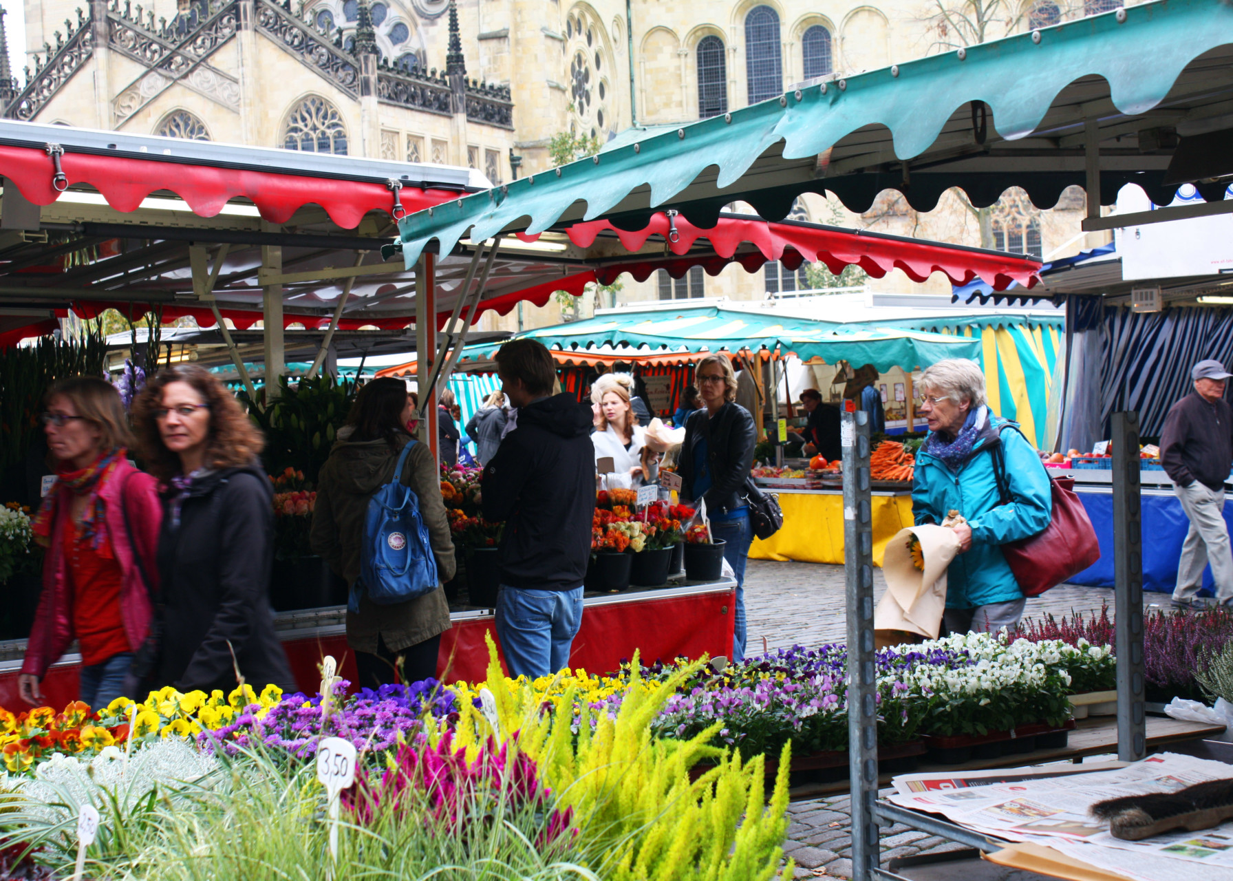 Besucher beim Wochenmarkt auf dem Domplatz in Münster